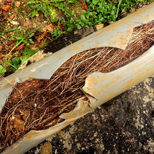 The Drain & Sewer Professionals In Port Noarlunga